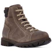 Lastenkengät NeroGiardini  NERO GIARDINI  VELOUR OIL TALPA  31