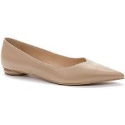 Balleriinat Keddo  -  36