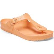 Rantasandaalit BIRKENSTOCK  -  37