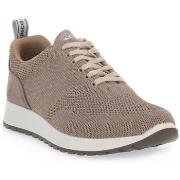 Kengät IgI&CO  SARO BEIGE  44