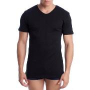 Aluspaidat Abanderado  A0255-002  EU XXL