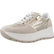 Tennarit IgI&CO  D KOALA  38