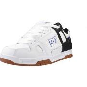 Tennarit DC Shoes  STAG  41