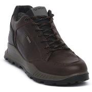 Tennarit IgI&CO  FIORE TESTA MORO  41