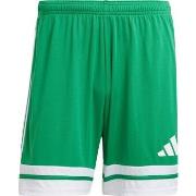 Shortsit & Bermuda-shortsit adidas  Squadra 25  EU XXL