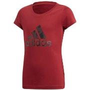 Lyhythihainen t-paita adidas  DJ1331  EU M