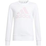 Ulkoilutakki adidas  HE1982  EU M