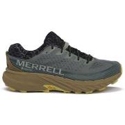 Kengät Merrell  Agility Peak 5 Gtx  42