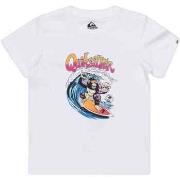 Lyhythihainen t-paita Quiksilver  EQKZT03562-WBB0  5 vuotta