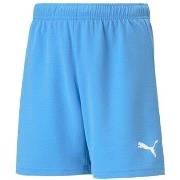 Shortsit & Bermuda-shortsit Puma  Teamrise  EU M