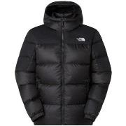 Toppatakki The North Face  NF0A8992GOC1  EU XXL
