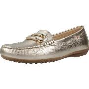 Kengät Fluchos  F2156  36