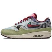 Kengät Nike  Air Max 1 Concepts Mellow  44