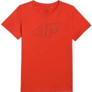 Lyhythihainen t-paita 4F  K2153  Yksi Koko