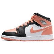 Kengät Nike  1 Mid Light Madder Root  38