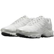 Kengät Nike  Air Max Plus Platinum Tint  40