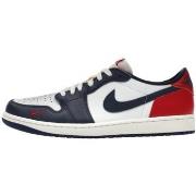 Kengät Nike  1 Retro Low OG Howard University  41