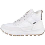 Kengät Legero  20004091000  38