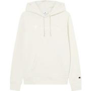 Svetari Champion  B25619  EU M