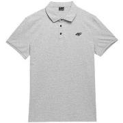 Lyhythihainen t-paita 4F  SS23TPTSM038  EU M