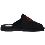 Kengät Andinas  -  36