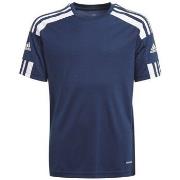 Lyhythihainen t-paita adidas  JR Squadra 21  EU S