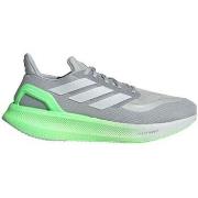 Kengät adidas  Pureboost 5  42