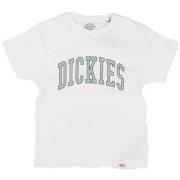 Lyhythihainen t-paita Dickies  DK0A4Z8O  8 vuotta