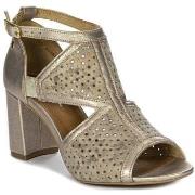 Sandaalit Maciejka  0655504005  36