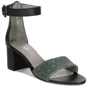 Kävelykengät Maciejka  0414120005  36