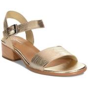 Kävelykengät Maciejka  N680225001  36