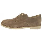 Balleriinat Yowas  COMUNION 20344 Camel  36