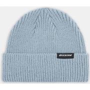 Lippalakit Dickies  Woodworth beanie  Yksi Koko