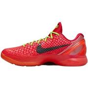 Kengät Nike  Kobe 6 Protro Reverse Grinch  43