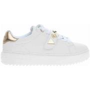 Kengät Guess  FLTDRIELE12WHITE  37