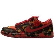 Kengät Nike  SB Dunk Low The Wizard of Oz Poppy Field  45