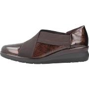 Kengät Pitillos  10733P  36