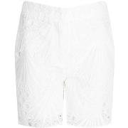 Shortsit & Bermuda-shortsit Pinko  1V10MZ Y7N1 | Adulare Shorts  US 34