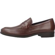 Kengät Pitillos  40221P  42