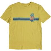 Lyhythihainen t-paita Gap  881481-000  8 vuotta