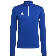 Svetari adidas  Entrada 22  EU XXL