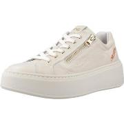 Kengät NeroGiardini  E513081D  40