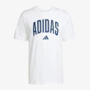 Lyhythihainen t-paita adidas  M COLLEGIATE T  EU XL