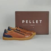 Kengät Pellet  SONNY  42