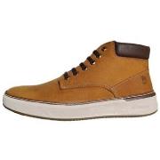 Kengät Lumberjack  SCOTT SMF3201-001 Camel  40