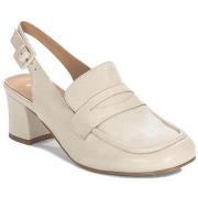 Kengät Maciejka  N680404001  37