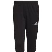 Housut adidas  Entrada 22  EU XXL