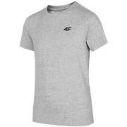 Lyhythihainen t-paita 4F  JTSM001  Yksi Koko