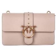 Olkalaukut Pinko  105857A0F1  Yksi Koko