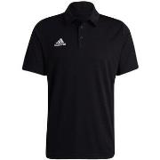 Lyhythihainen t-paita adidas  Entrada 22  EU S